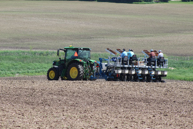 Seed test planting